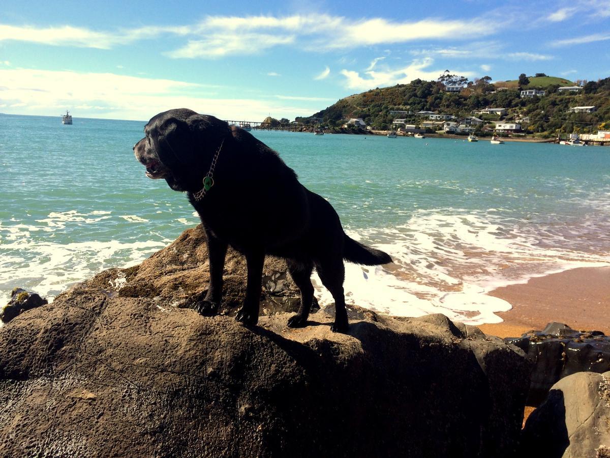 Noah'S Boutique Accommodation Moeraki Exterior photo