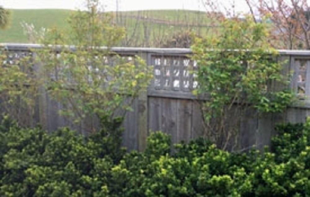 Noah'S Boutique Accommodation Moeraki Exterior photo